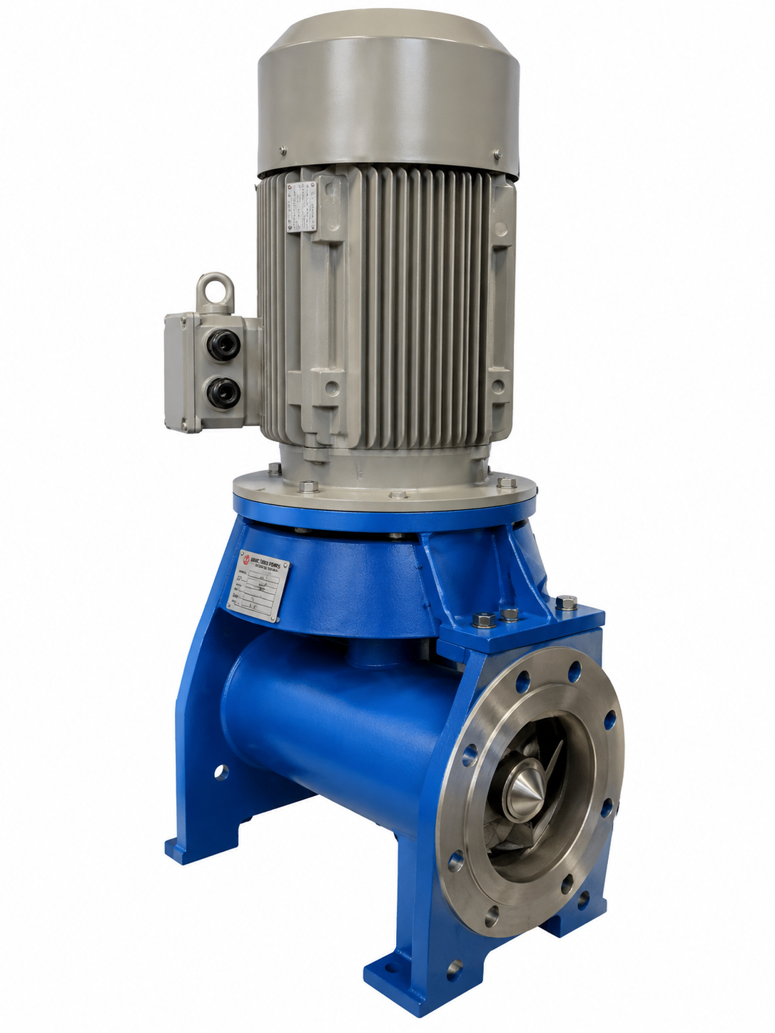 Reversible Axial Flow pump